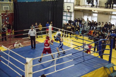 Никополь на пять дней стал восточной столицей украинского бокса