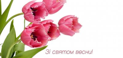 Дорогі нашi Жінки! Прийміть сердечні вітання з нагоди чудового весняного свята – 8 Березня!
