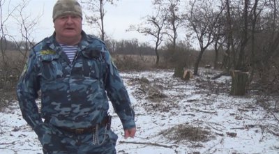 Кто, как, зачем и почему вырубает лесопосадки в Никопольском районе (видео, фото)