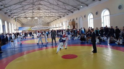 Команда Федерации Тайкан Каратэ приняла участие в Чемпионате Украины среди школьников по Рукопашному бою